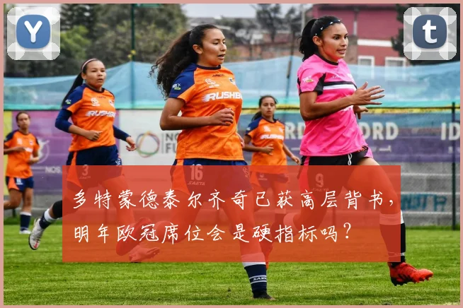 多特蒙德泰尔齐奇已获高层背书，明年欧冠席位会是硬指标吗？